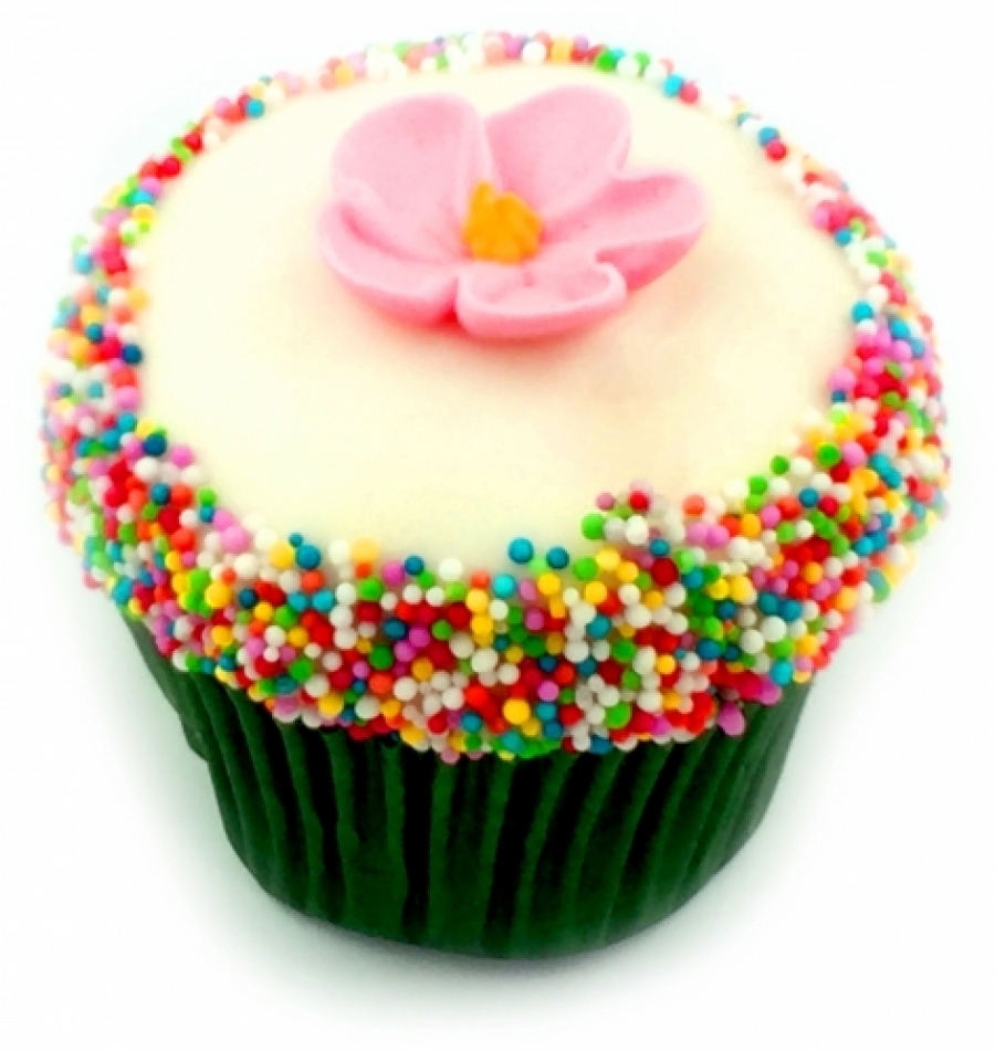 Iced Cupcake 75g